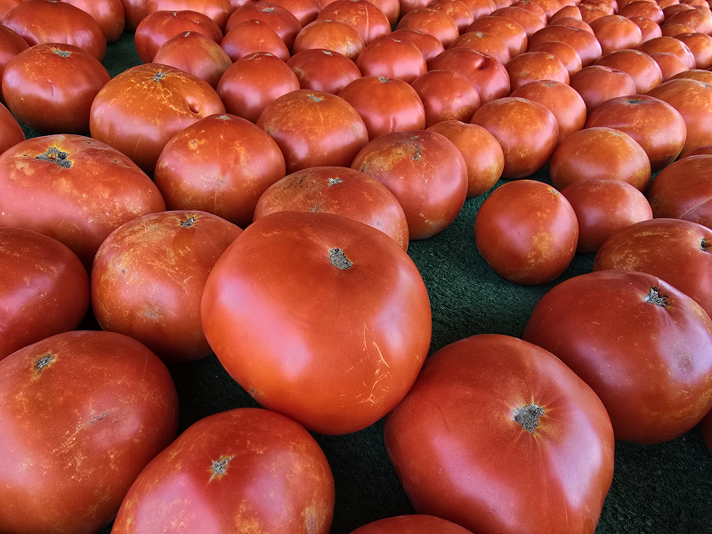 Tomatoes